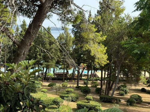 Apartment & Rooms Papa - Two Bedroom Apartment with Balcony and Partial Sea View