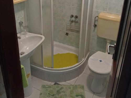 a bathroom with a shower and a toilet and a sink at Apartments Julia - Triple Room Julia 4 in Martinšćica