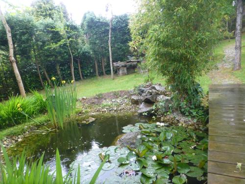 a pond in a garden with lilies in the water at Hotel El Carmen in Ribadesella