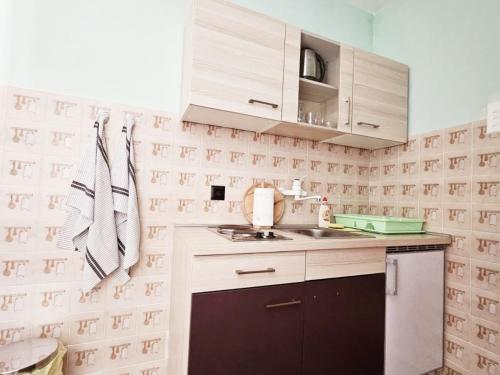 Apartments eljka - Studio Apartment with Terrace 3