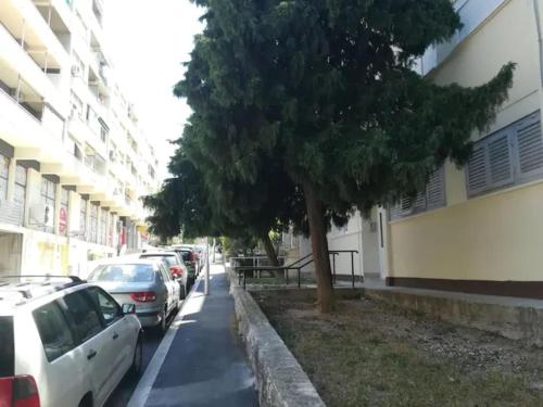 Friendly Well Located Family Apartment - Two bedroom apartment