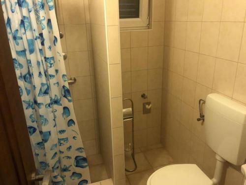 a bathroom with a toilet and a shower at Apartmani Villa Borzic - One Bedroom Apartment with Terarce and Sea View in Omiš