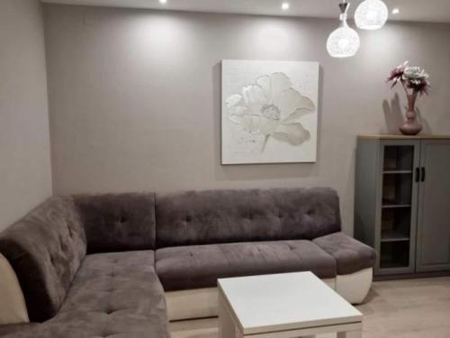 Pansion Belvedere - One Bedroom Apartment with Terrace Magnolia