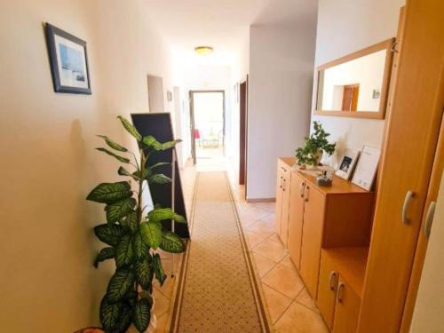 Apartments Marko - One Bedroom Apartment