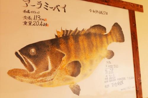 a painting of a fish on a wall at 民宿さざんか in Okinawa City