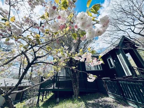 Κήπος έξω από το NASUKOUGEN RIVERSIDE VILLA