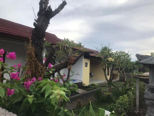 Jardin de l'établissement Dewenten Guest House