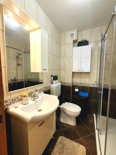 a bathroom with a sink and a toilet and a shower at Apartment Bella Vista in Trebinje