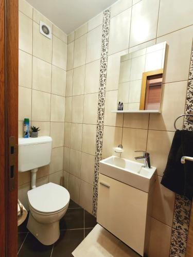 a bathroom with a toilet and a sink at Apartment Bella Vista in Trebinje