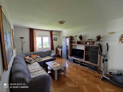 Beachfront Mastrinka Apartments with Sea View - Three Bedroom Apartment with Terrace and Sea View