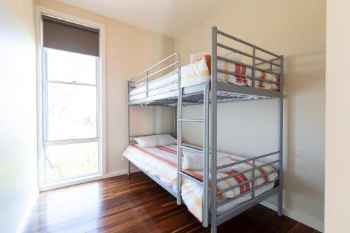 two bunk beds in a room with a window at Eco-Luxe @ Mount Avoca in Avoca