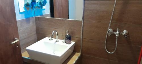 a bathroom with a sink and a shower at El Contenedor in Tunuyán