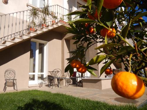 Zahrada ubytování White Lilac Romantic B&B - Adults only