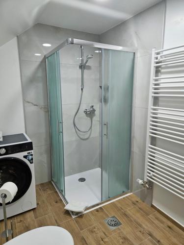 a shower with a glass door in a bathroom at Dežman Apartments & Rooms in Kranj