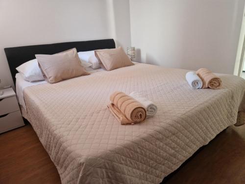 Apartman Prgin