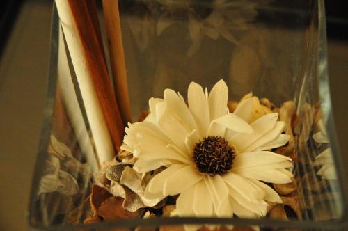 a white flower sitting in a glass vase at Ester Guest House in Chaves