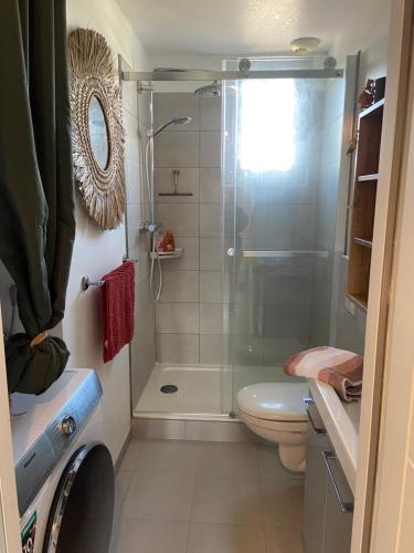 a bathroom with a shower and a toilet at Centre à pied in Bourges