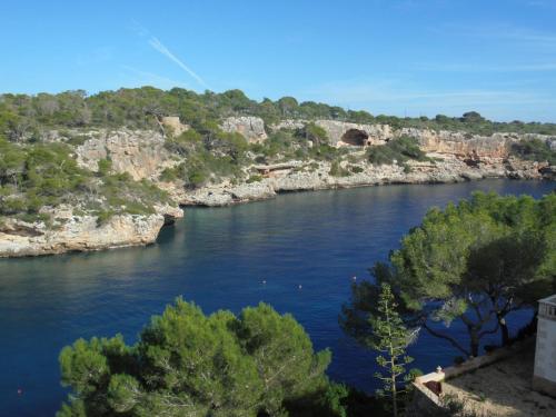 a view of a river with trees and rocks at Hostal Can Jordi in Cala Figuera