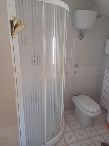 a bathroom with a shower and a toilet at B&B Pacilita in Pianopoli