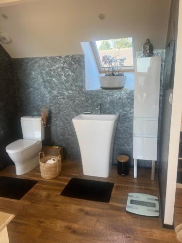 une salle de bain avec un lavabo et des toilettes dans l'établissement Chambre bardney, à La Bazoge