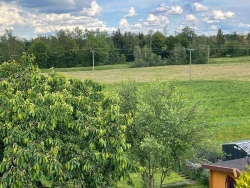Un jardín fuera de W&P Living Wohnung mit Ausblick - Parkplatz