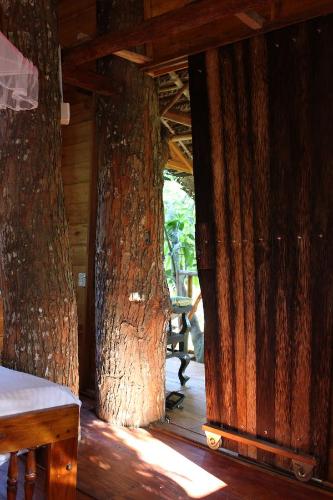 two large trees in a room with wooden floors at Tree House-Midigama in Weligama