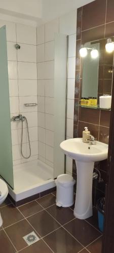 a bathroom with a sink and a shower and a toilet at Denis Studios and Apartments in Paralia Katerinis