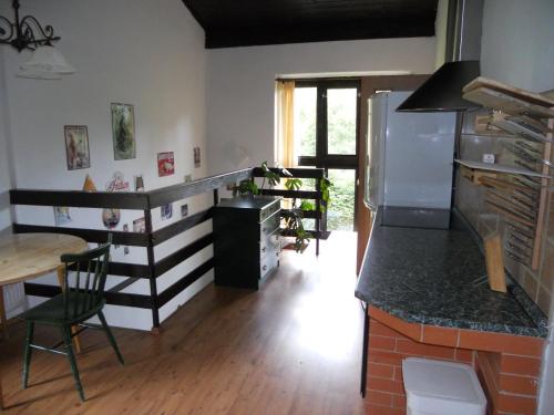 eine Küche mit einer Theke, einem Kühlschrank und einem Tisch in der Unterkunft Pension Strnad in Velká Úpa