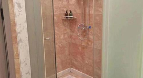 a shower with a glass door with bottles on a shelf at GreenTree Alliance Anhui Hefei South Passenger Station South High Speed Railway Station Hotel in Hefei