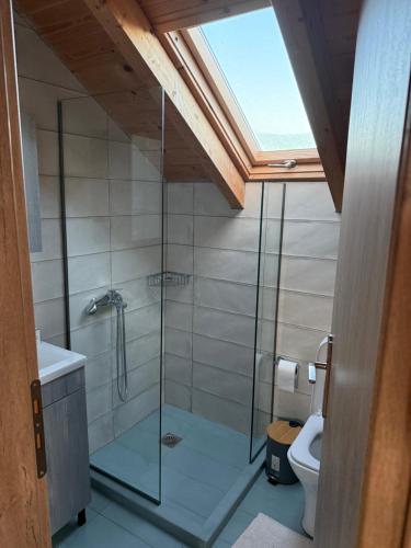 a bathroom with a glass shower with a toilet at Makris Gialos Maisonette in Argostoli