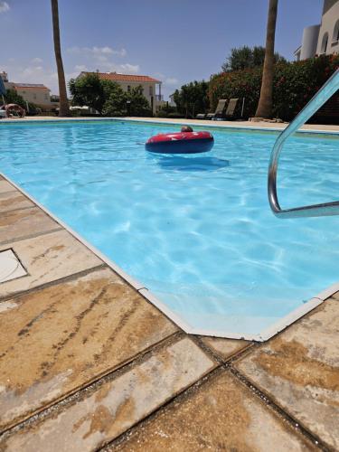 Sunflower - 3 bedroom spacious apartment, Peyia