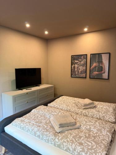 a bedroom with a bed and a flat screen tv at Studio Liva Modernes Apartment mit kostenlosem Parkplatz in Herdorf