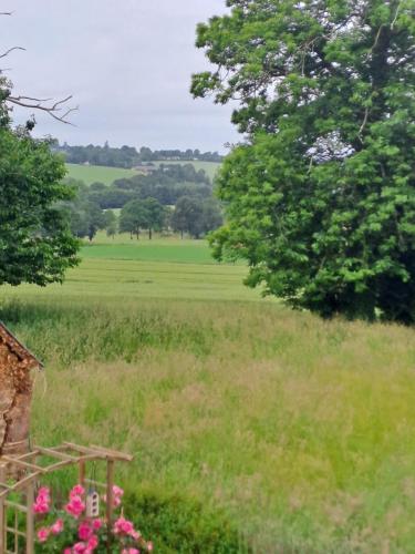 a view of a field with trees and pink flowers at la hamonniere in Savigny-le-Vieux