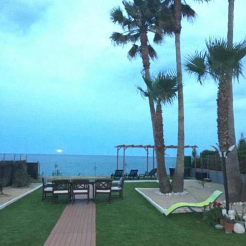 Una mesa de picnic y bancos con palmeras y el océano. en CHALET directo al MAR, en Benicarló