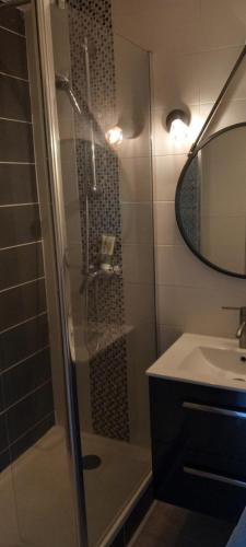 une salle de bain avec douche et lavabo dans l'établissement Le Paradis c'est ici, à Six-Fours-les-Plages
