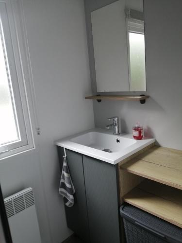 une salle de bain avec un lavabo blanc et un miroir dans l'établissement Mobil home Menanteau, aux Mathes