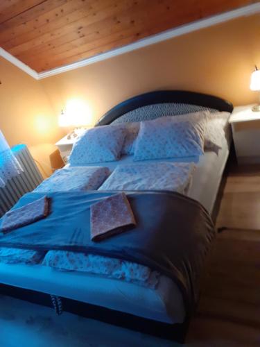 a bedroom with a large bed with blue sheets and pillows at Éva vendégház in Egerszalók