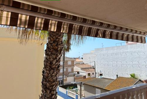 a palm tree in a balcony with a building at Apartamento a 200 metros de la playa de arena Les Cases en Xilxes - Castellón in Chilches