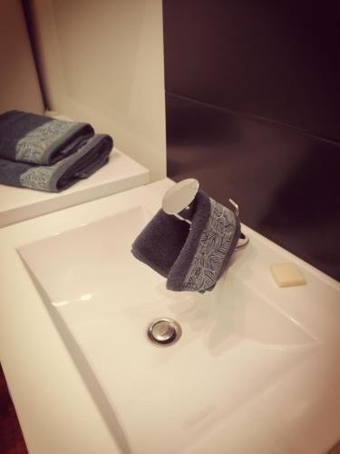 La salle de bains est pourvue d'un lavabo blanc et d'une serviette. dans l'établissement Le petit nid au coeur de Troyes, à Troyes