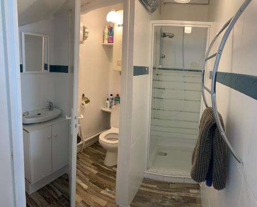 une salle de bain avec douche et toilettes dans l'établissement Camelia, à Saint-Jean-de-Monts