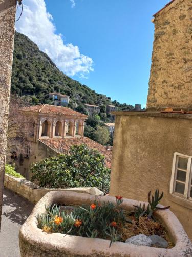 Les voûtes de Pascaline, vue mer et montagne, Lama