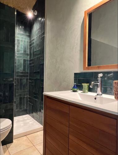 une salle de bain avec un lavabo et une douche dans l'établissement La petite Troglo, à Aubigné-Racan