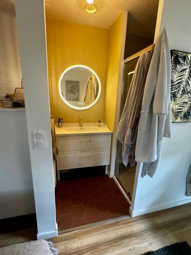 une salle de bain avec un lavabo et un miroir dans l'établissement Appartement entre forêt, lac et océan, à Vieux-Boucau-les-Bains