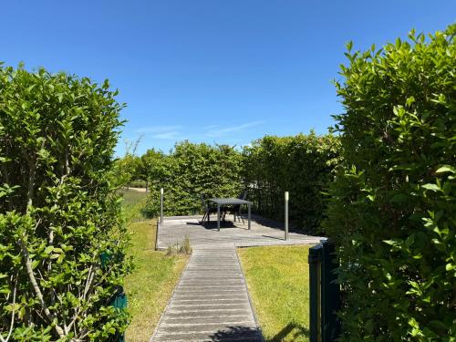 Příroda nedaleko vily