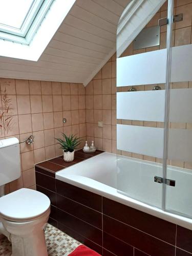 a bathroom with a toilet and a bath tub at Ferienwohnung in Sponsheim in Bingen am Rhein