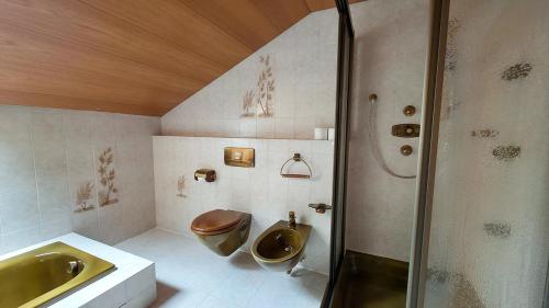 a bathroom with a toilet and a sink and a shower at Ferienhaus Wetterstein in Grainau