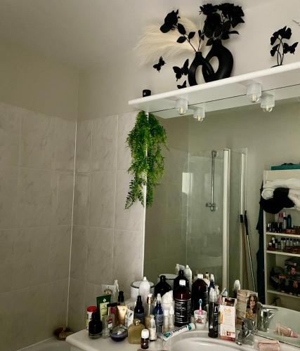 une salle de bain avec un lavabo et un miroir dans l'établissement Charmant 2p terrasse Paris près sites JO, dont 3 en métro direct Free WIFI, à Paris