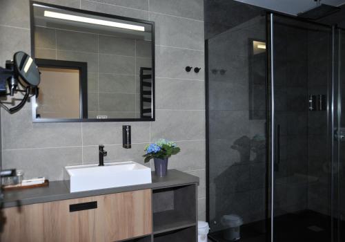 a bathroom with a sink and a shower at HRADBY hotel a restaurace in Uničov