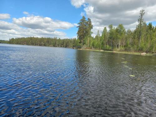 a large body of water with trees in the background at Pauliström - Schöne Ferienwohnung für bis zu 4 Personen - 60qm in Pauliström