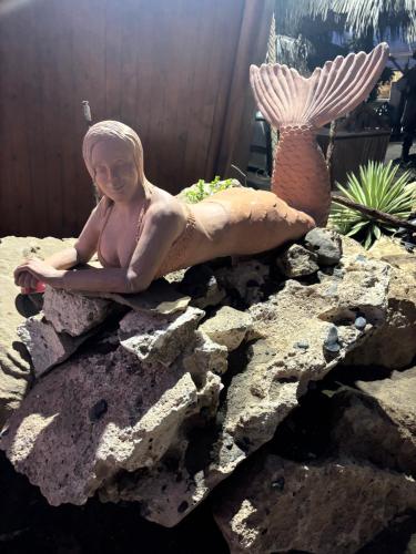 a woman sitting on top of a rock in an aquarium at Stay, laugh, repeat! in Prainha